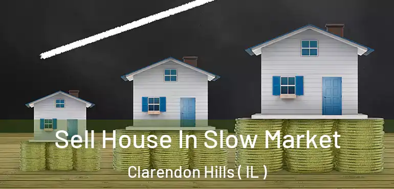  Sell House In Slow Market Clarendon Hills ( IL )