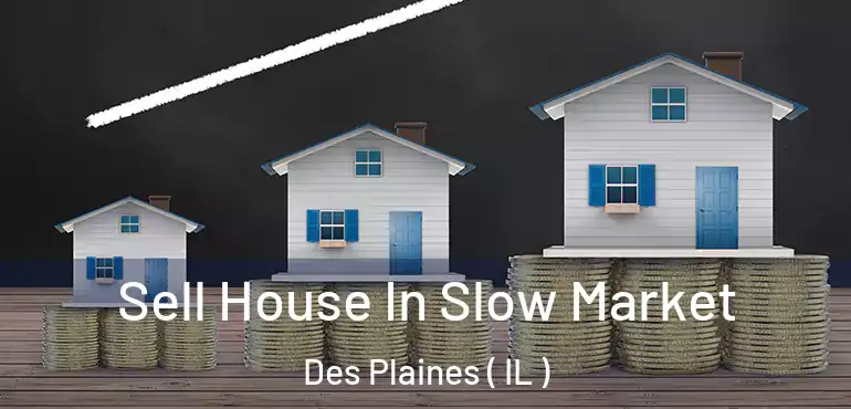  Sell House In Slow Market Des Plaines ( IL )