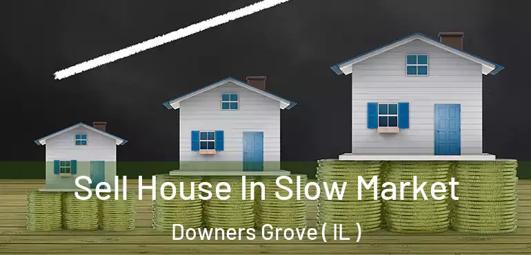  Sell House In Slow Market Downers Grove ( IL )