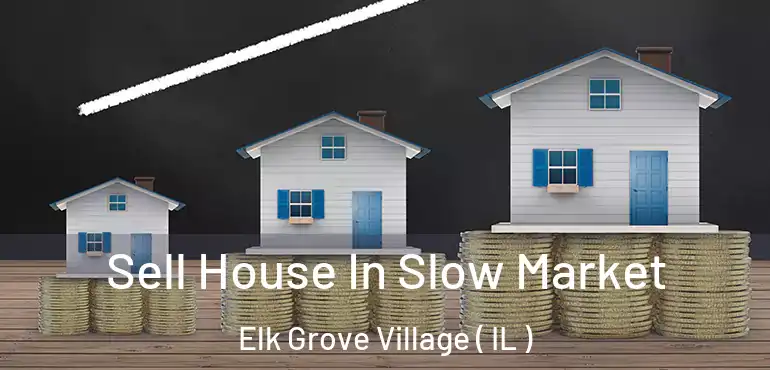  Sell House In Slow Market Elk Grove Village ( IL )