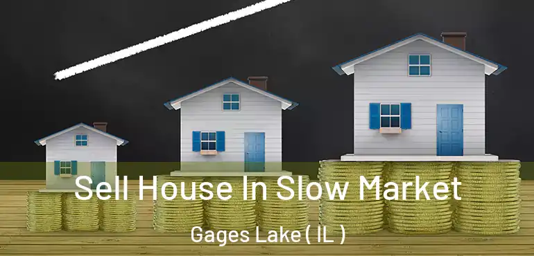  Sell House In Slow Market Gages Lake ( IL )