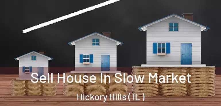  Sell House In Slow Market Hickory Hills ( IL )