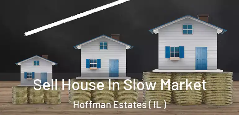  Sell House In Slow Market Hoffman Estates ( IL )