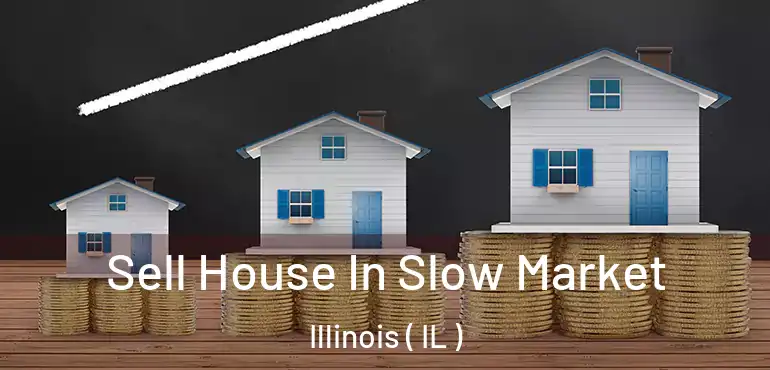  Sell House In Slow Market Illinois ( IL )