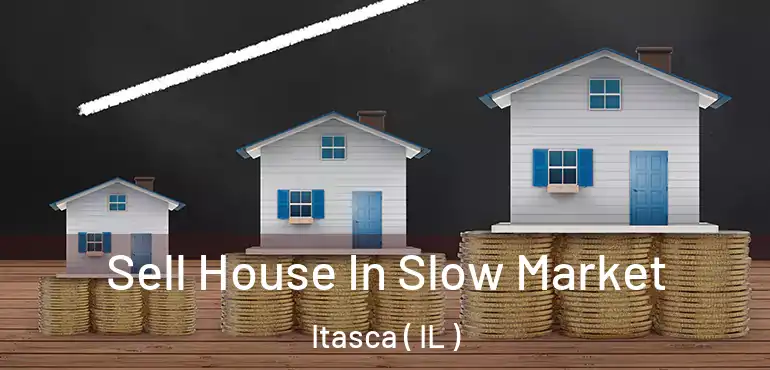  Sell House In Slow Market Itasca ( IL )