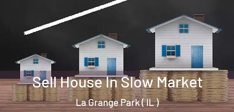  Sell House In Slow Market La Grange Park ( IL )