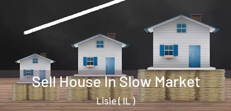  Sell House In Slow Market Lisle ( IL )