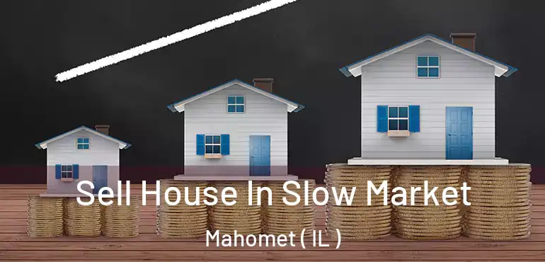  Sell House In Slow Market Mahomet ( IL )