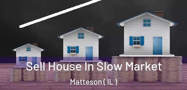  Sell House In Slow Market Matteson ( IL )