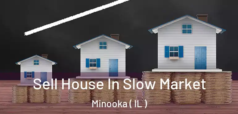  Sell House In Slow Market Minooka ( IL )