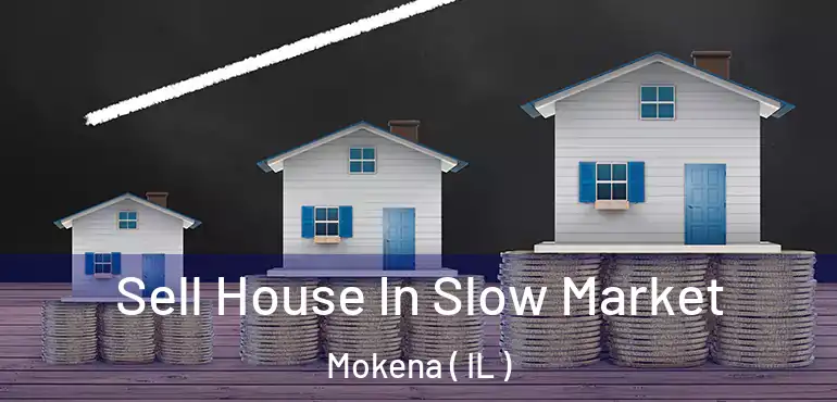  Sell House In Slow Market Mokena ( IL )