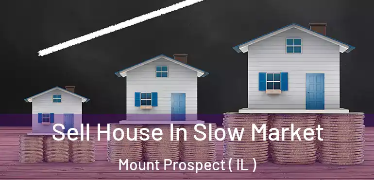  Sell House In Slow Market Mount Prospect ( IL )