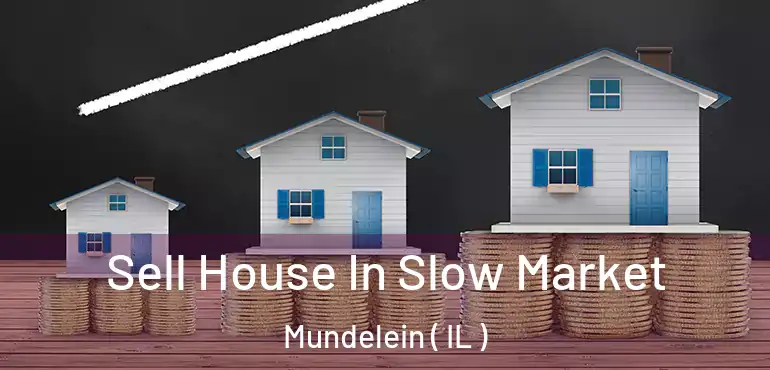  Sell House In Slow Market Mundelein ( IL )
