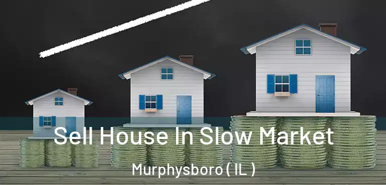  Sell House In Slow Market Murphysboro ( IL )