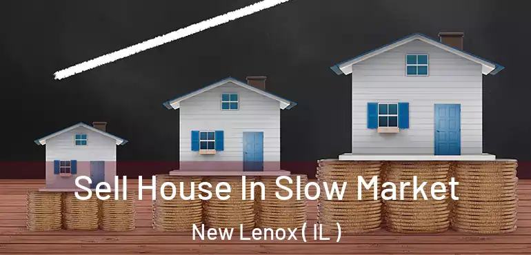 Sell House In Slow Market New Lenox ( IL )