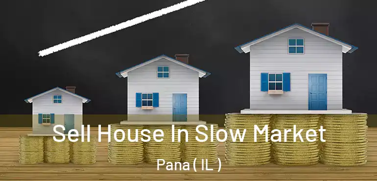  Sell House In Slow Market Pana ( IL )