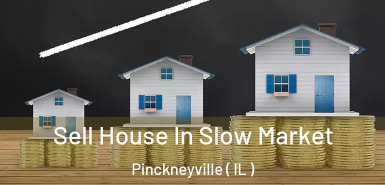  Sell House In Slow Market Pinckneyville ( IL )