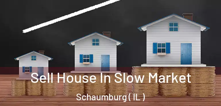  Sell House In Slow Market Schaumburg ( IL )