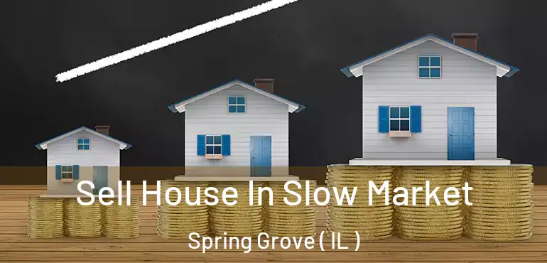  Sell House In Slow Market Spring Grove ( IL )