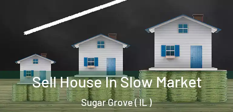  Sell House In Slow Market Sugar Grove ( IL )