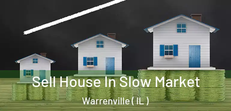  Sell House In Slow Market Warrenville ( IL )