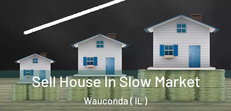  Sell House In Slow Market Wauconda ( IL )