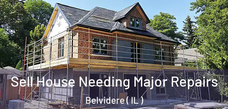  Sell House Needing Major Repairs Belvidere ( IL )