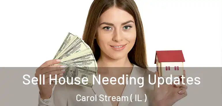  Sell House Needing Updates Carol Stream ( IL )