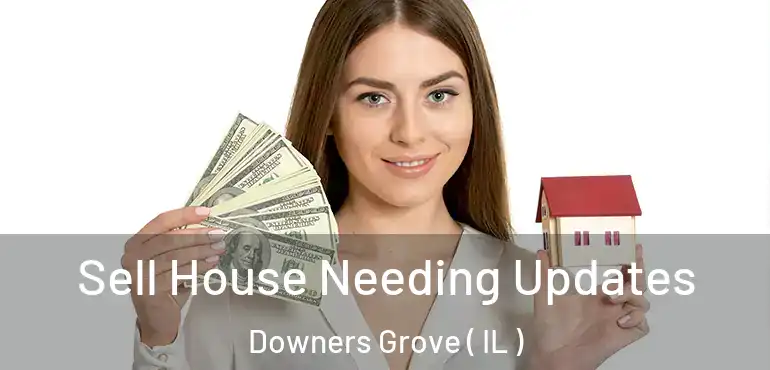  Sell House Needing Updates Downers Grove ( IL )