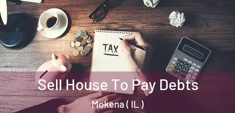  Sell House To Pay Debts Mokena ( IL )
