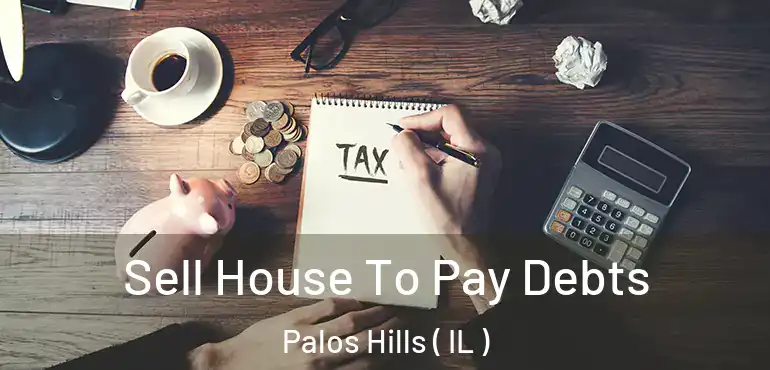  Sell House To Pay Debts Palos Hills ( IL )
