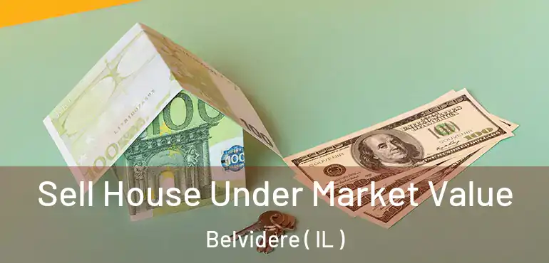  Sell House Under Market Value Belvidere ( IL )