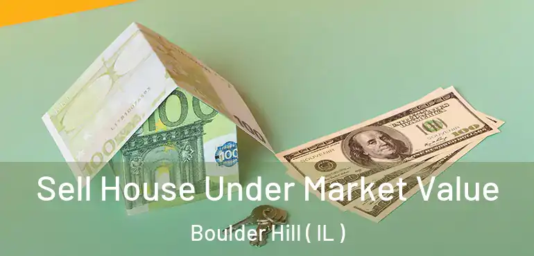  Sell House Under Market Value Boulder Hill ( IL )