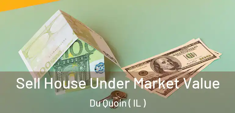  Sell House Under Market Value Du Quoin ( IL )