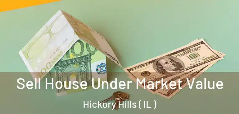  Sell House Under Market Value Hickory Hills ( IL )