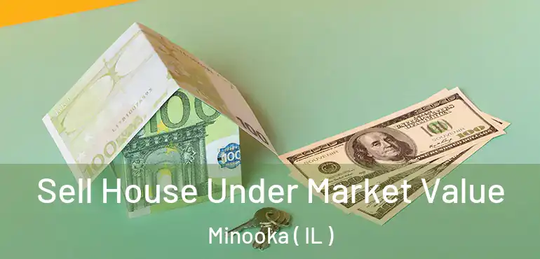  Sell House Under Market Value Minooka ( IL )