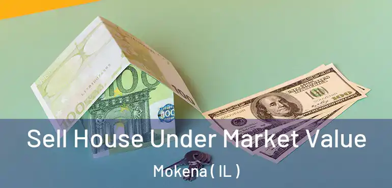  Sell House Under Market Value Mokena ( IL )