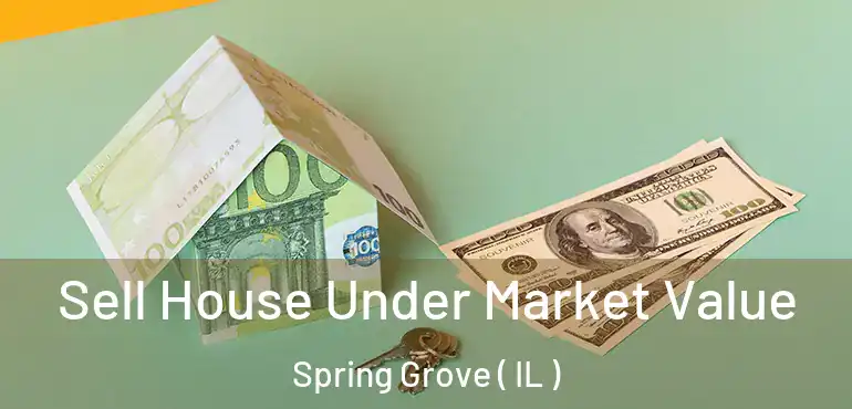  Sell House Under Market Value Spring Grove ( IL )