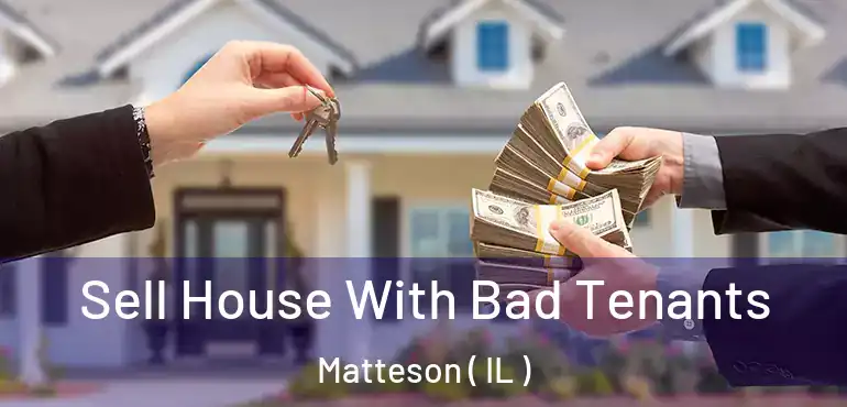  Sell House With Bad Tenants Matteson ( IL )