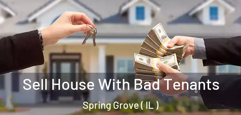  Sell House With Bad Tenants Spring Grove ( IL )