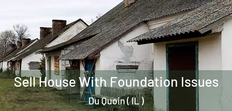  Sell House With Foundation Issues Du Quoin ( IL )