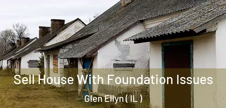  Sell House With Foundation Issues Glen Ellyn ( IL )