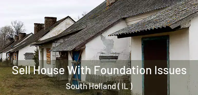  Sell House With Foundation Issues South Holland ( IL )