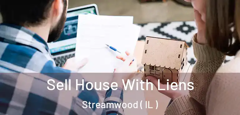  Sell House With Liens Streamwood ( IL )
