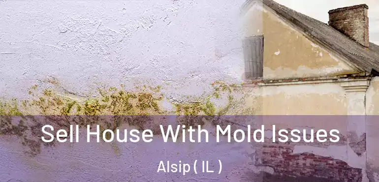  Sell House With Mold Issues Alsip ( IL )