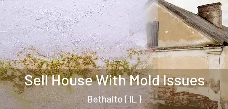  Sell House With Mold Issues Bethalto ( IL )