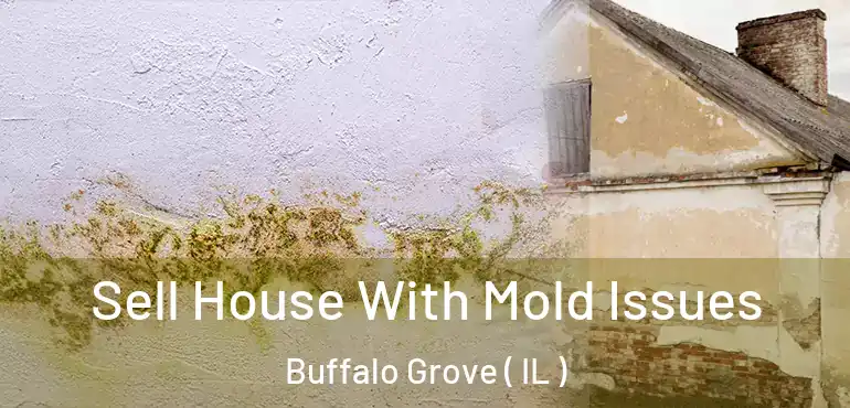  Sell House With Mold Issues Buffalo Grove ( IL )
