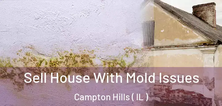  Sell House With Mold Issues Campton Hills ( IL )