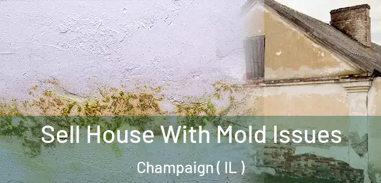  Sell House With Mold Issues Champaign ( IL )