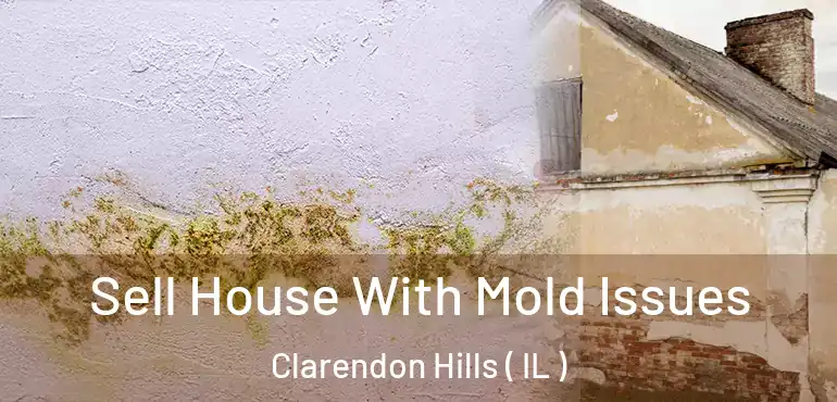  Sell House With Mold Issues Clarendon Hills ( IL )